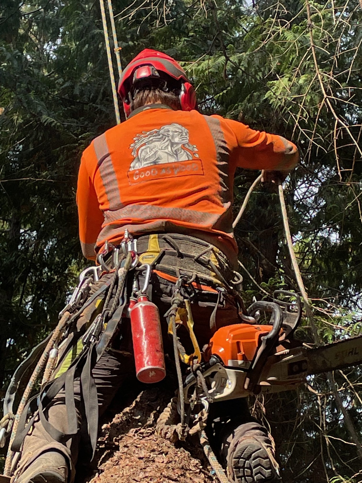 tree climbing harness